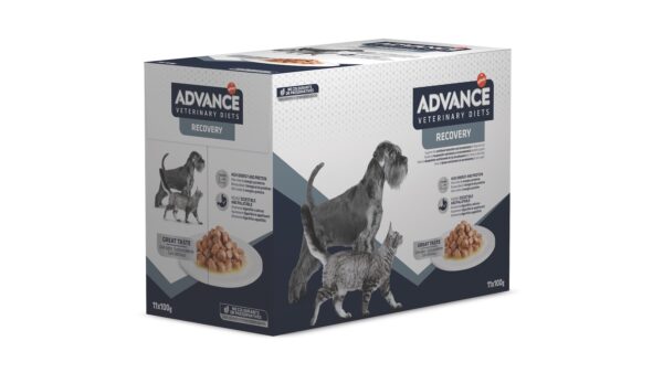 Advance Veterinary Diets Wet Recovery Dog&Cat, 100 g x 11 vnt. - Image 1