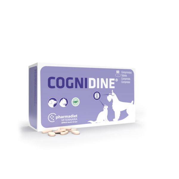 Pharmadiet Cognidine N60 - Image 1