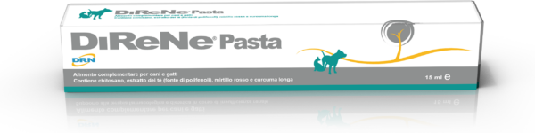 DRN Direne pasta  15ml - Image 1