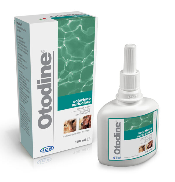 ICF Otodine 100 ml - Image 1