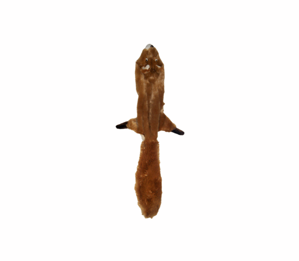 Žaislas Skinneeez voverė 58cm - Image 1