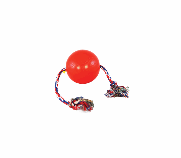 Žaislas guminis kamuolys raudonas su virve 10cm - Image 1