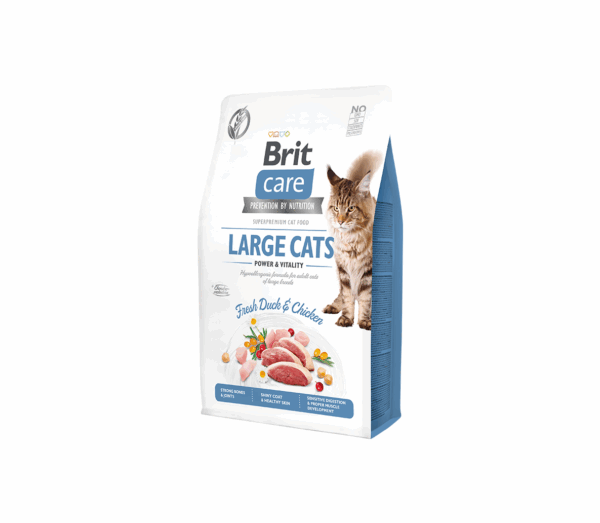 Brit Care Cat GF Large cats Power & Vitality sausas maistas katėms 7 kg - Image 1