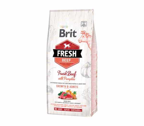 Brit Fresh Beef with Pumpkin Puppy Large sausas maistas šunims 12 kg - Image 1