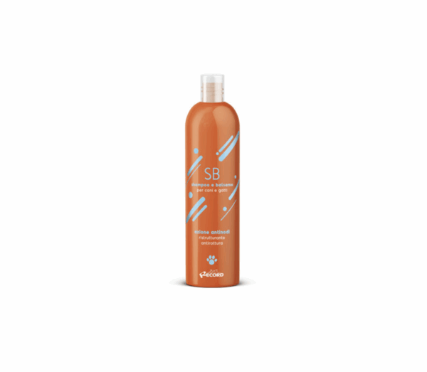 Record šampūnas - kondicionierius ilgaplaukiams 250ml - Image 1