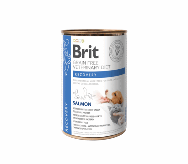 Brit GF Veterinary Diets konservai šunims ir katėms Recovery 400 g - Image 1